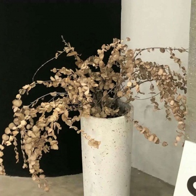 兽设配色实用搭配指南兽圈社群